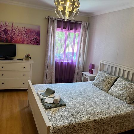 Montenegro Dreams Dystrykt Dystrykt Faro Zewnętrze zdjęcie